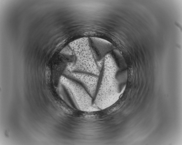 X0000095900228200802081147