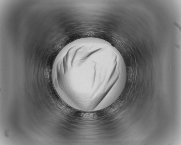 X0000095900230200802081147