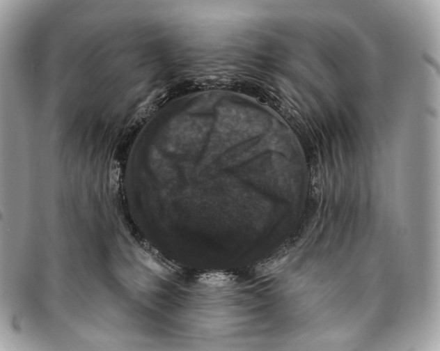 X0000095900231200802081147