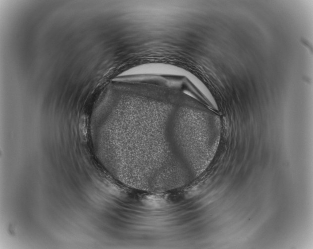 X0000095900232200802081147