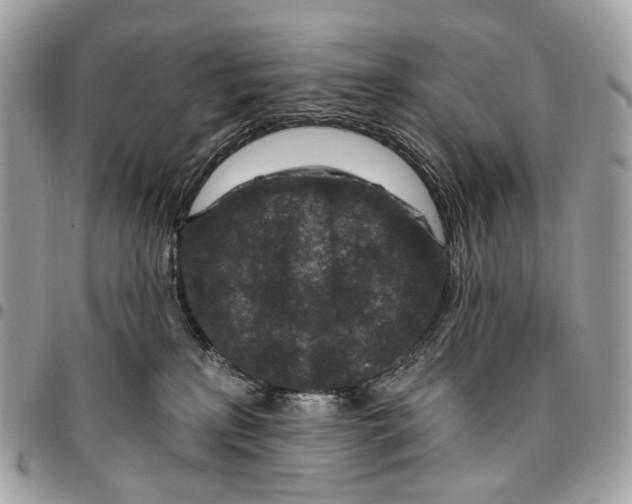 X0000095900233200802081147