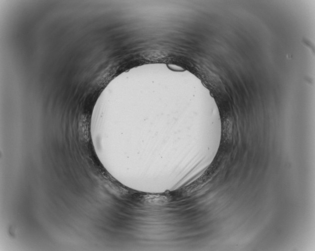 X0000095900234200802081147