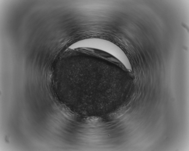 X0000095900235200802081147