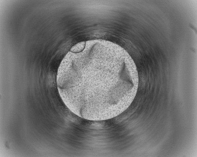 X0000095900236200802081147