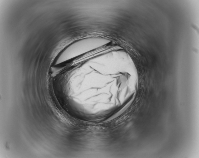 X0000095900242200802081147