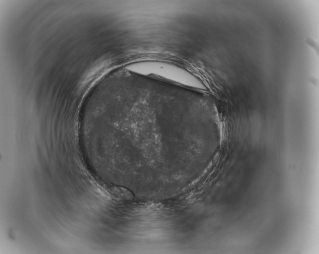 X0000095900243200802081147