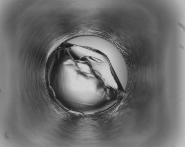 X0000095900244200802081147