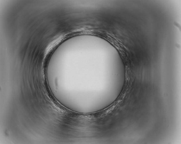 X0000095900245200802081147