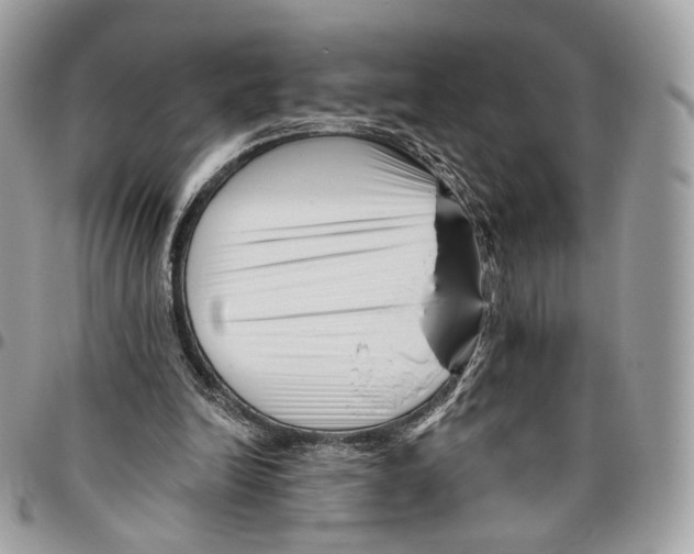 X0000095900246200802081147