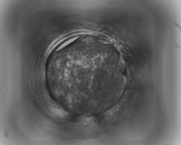 X0000095900247200802081147