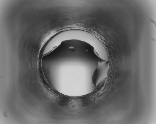 X0000095900248200802081147