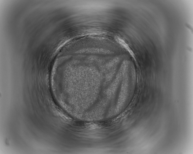 X0000095900249200802081147