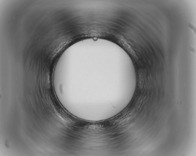 X0000095900251200802081147