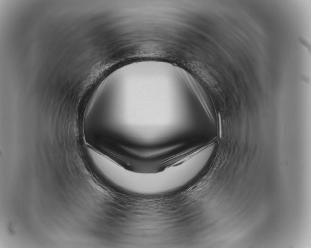 X0000095900252200802081147