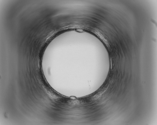 X0000095900253200802081147