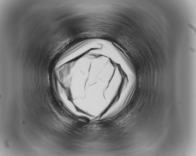 X0000095900254200802081147