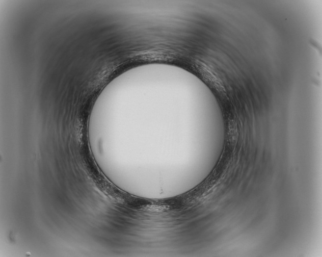 X0000095900255200802081147