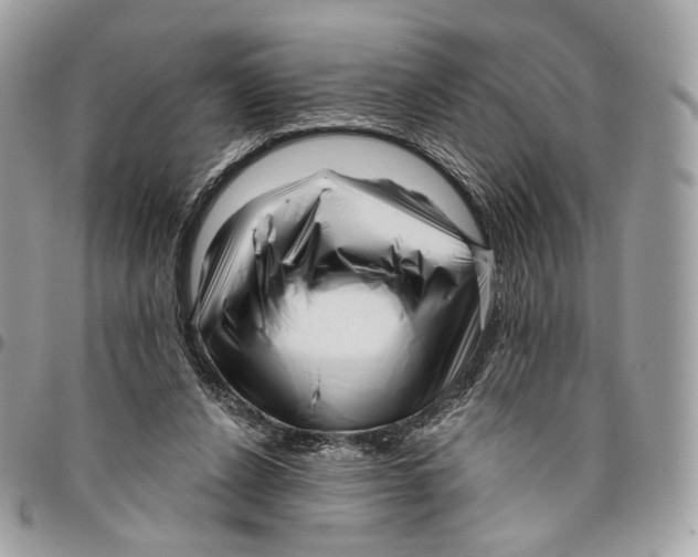 X0000095900256200802081147