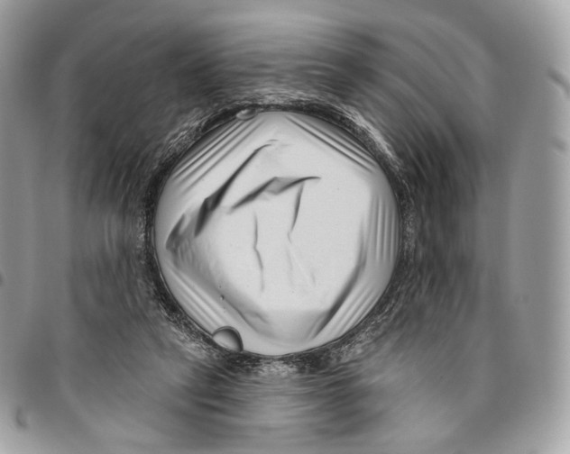 X0000095900257200802081147