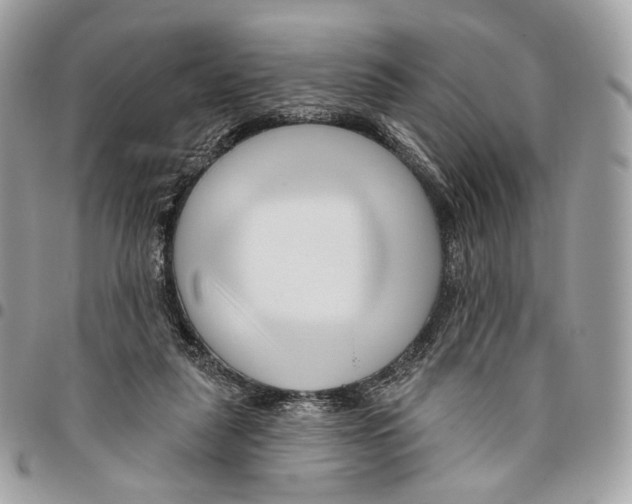 X0000095900259200802081147