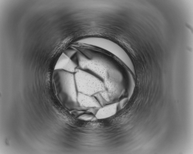 X0000095900260200802081147