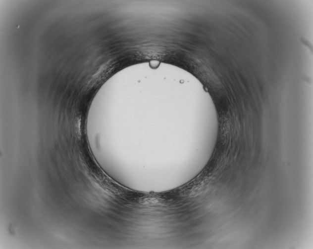 X0000095900262200802081147