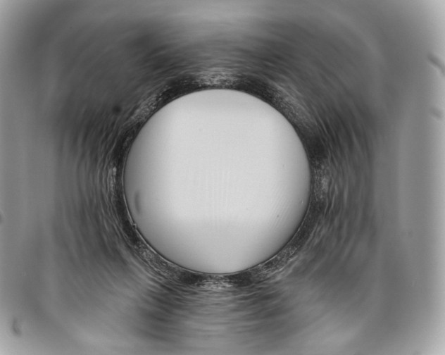 X0000095900263200802081147