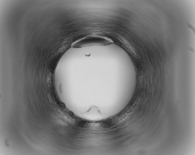 X0000095900265200802081147