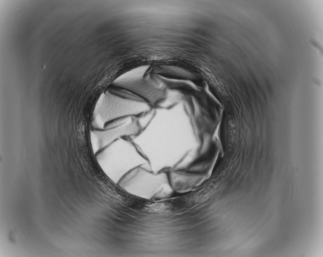 X0000095900269200802081147