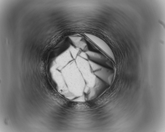 X0000095900270200802081147