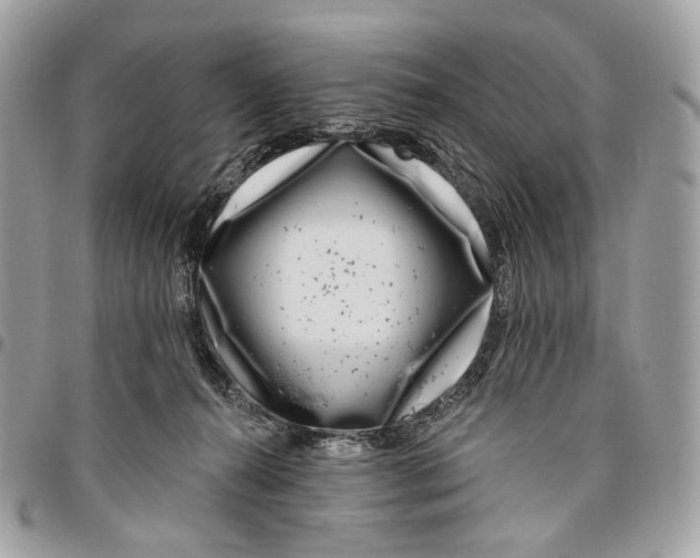 X0000095900272200802081147