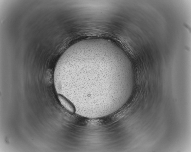 X0000095900273200802081147