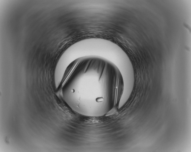 X0000095900276200802081147