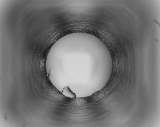 X0000095900278200802081147