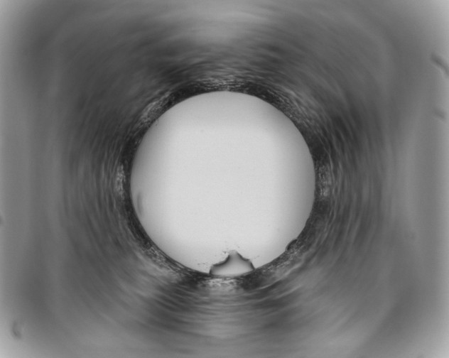 X0000095900279200802081147