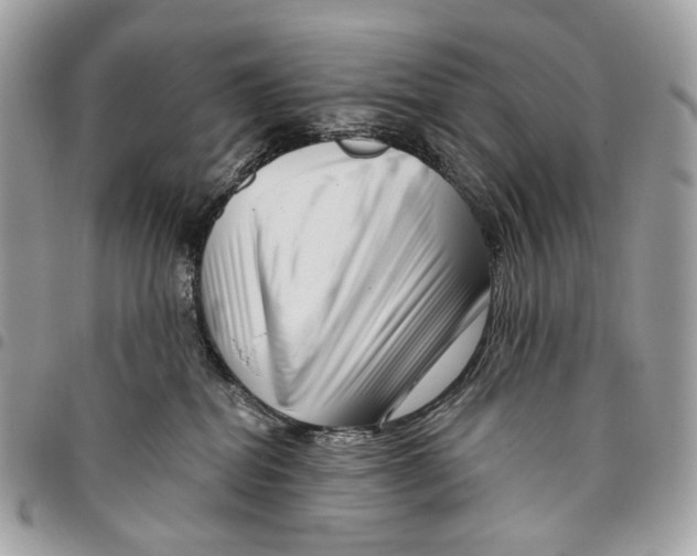 X0000095900282200802081147