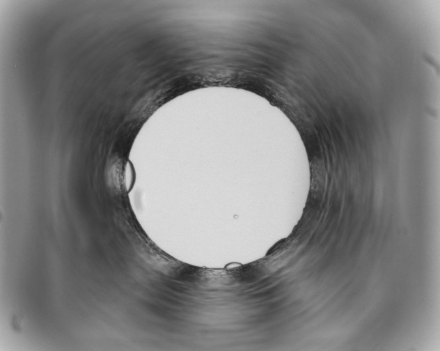 X0000095900287200802081147