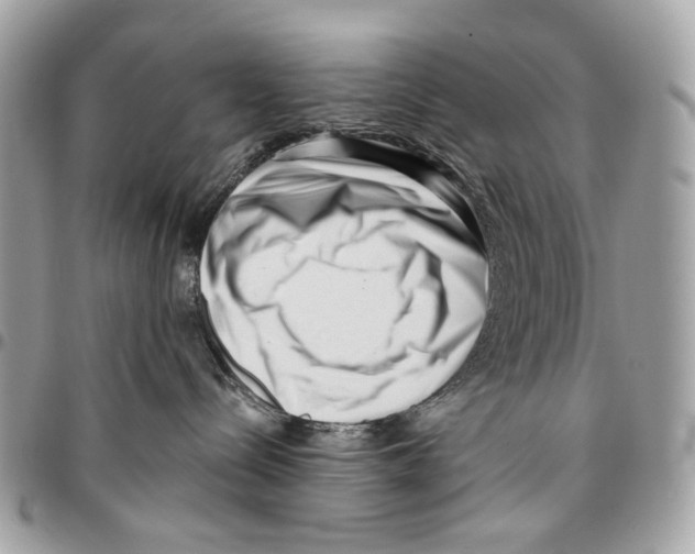 X0000095900288200802081147