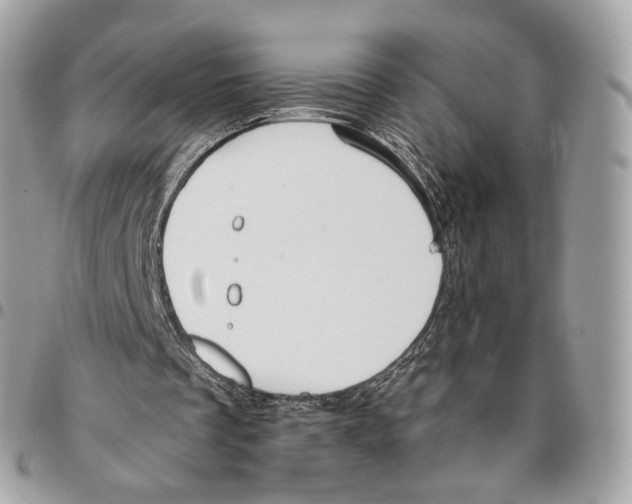 X0000095900289200802081147