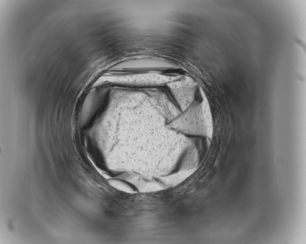 X0000095900290200802081146