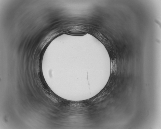 X0000095900291200802081146