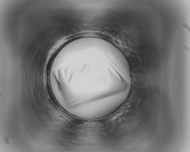 X0000095900294200802081146