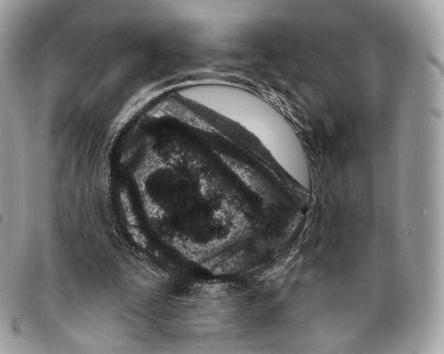 X0000095900295200802081146