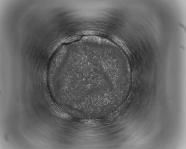 X0000095900297200802081146