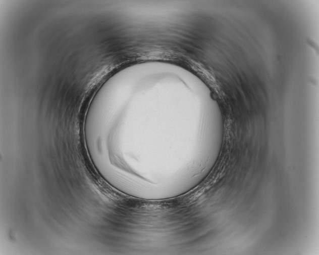 X0000095900298200802081146