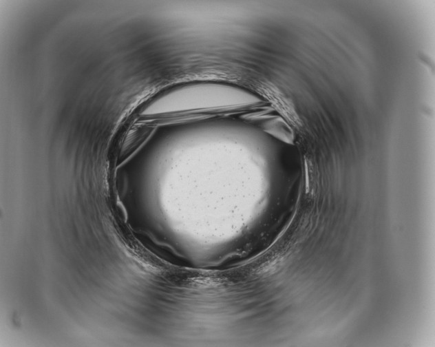 X0000095900300200802081146