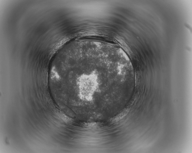 X0000095900301200802081146