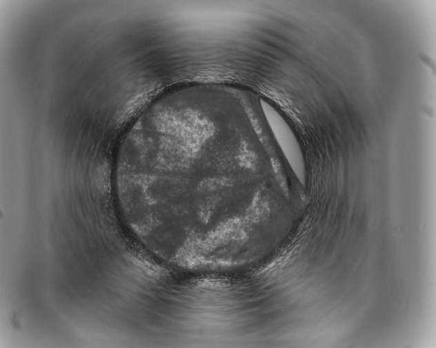 X0000095900303200802081146