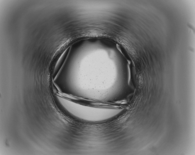 X0000095900304200802081146