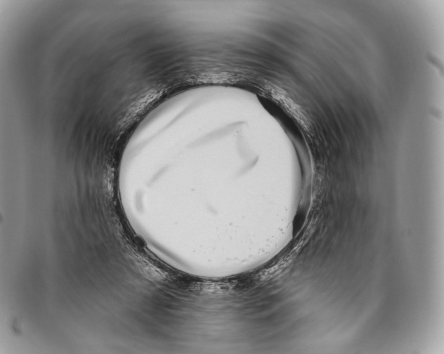 X0000095900305200802081146